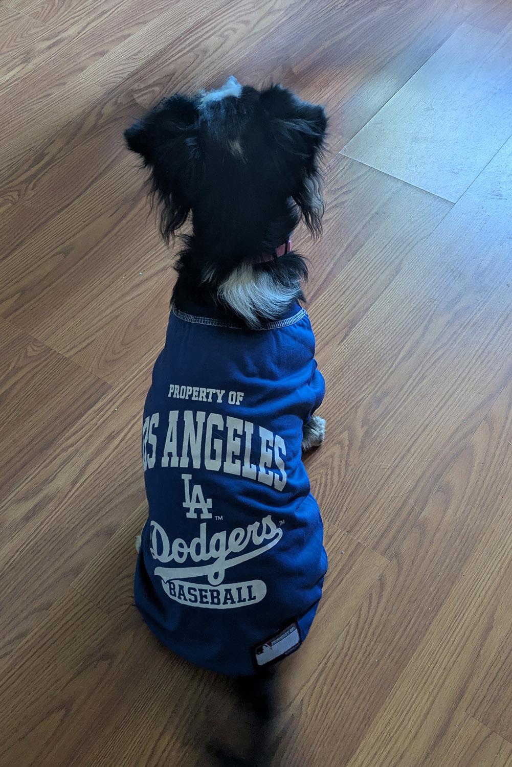 Lucy the Dodger Dog says go Dodgers